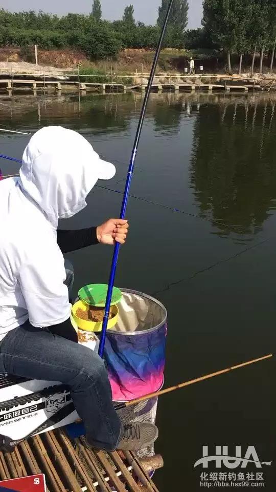 杨柏文钓鱼视频大全,杨柏文野钓视频完整版
