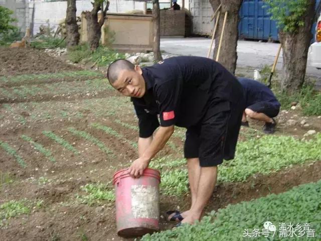 浠水帅哥,浠水的帅哥是谁