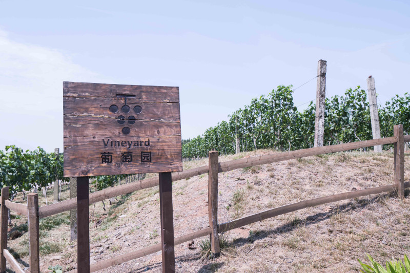 蓬莱温泉旅游度假村,蓬莱适合度假的小镇