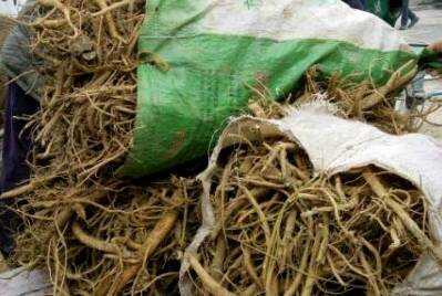 中药知识必学黄芩,中药知识必学代赭石