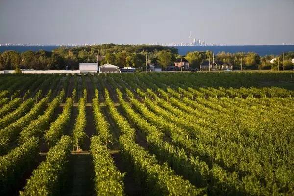 多伦多附近小镇,多伦多附近好看的景点