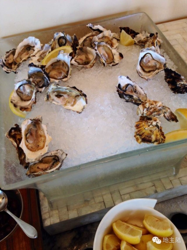 南非旅游照片,从南非回国的人