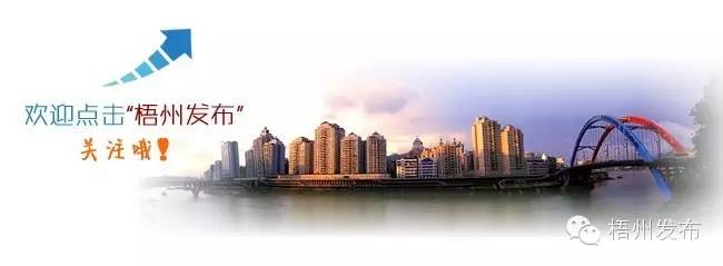 梧州南广铁路最新信息,梧州南高铁站片区规划图