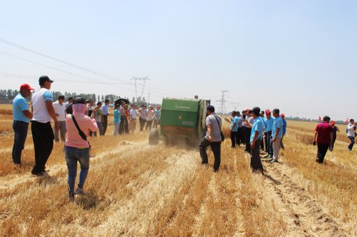 中农博远4x玉米收获机,中农博远玉米收割机视频