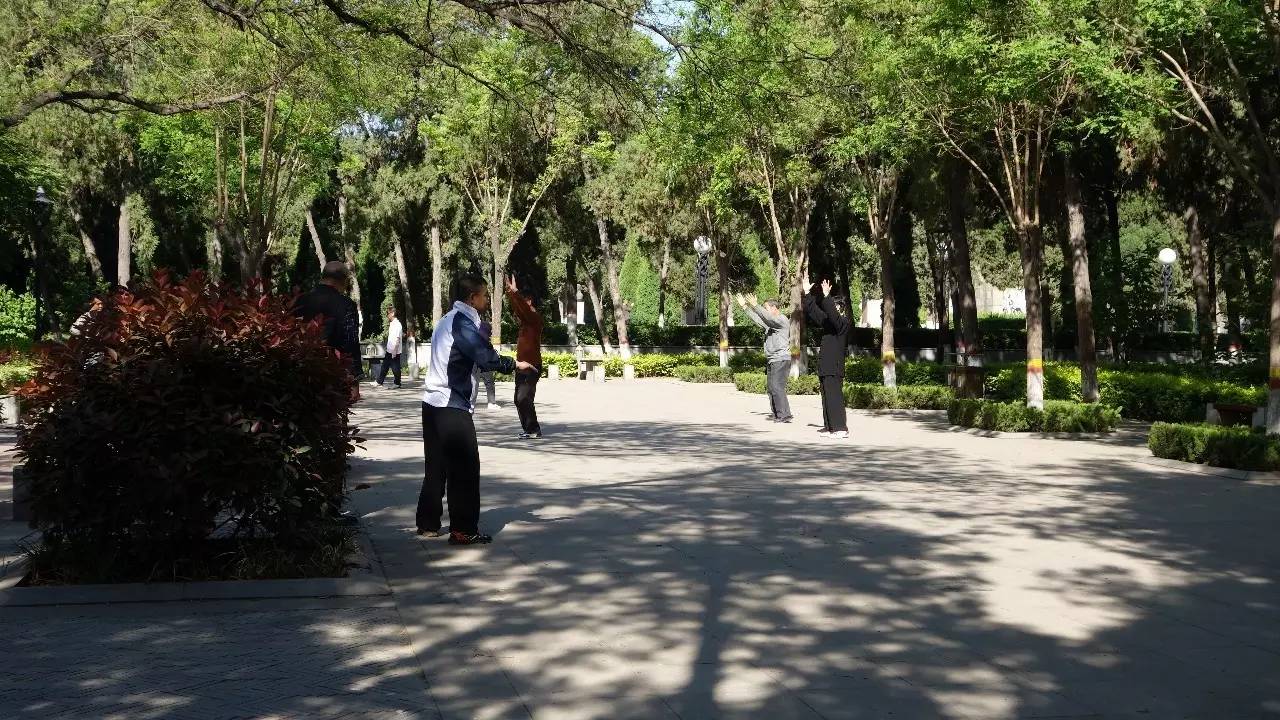 石家庄和平公园需要门票吗,石家庄和平公园几个门