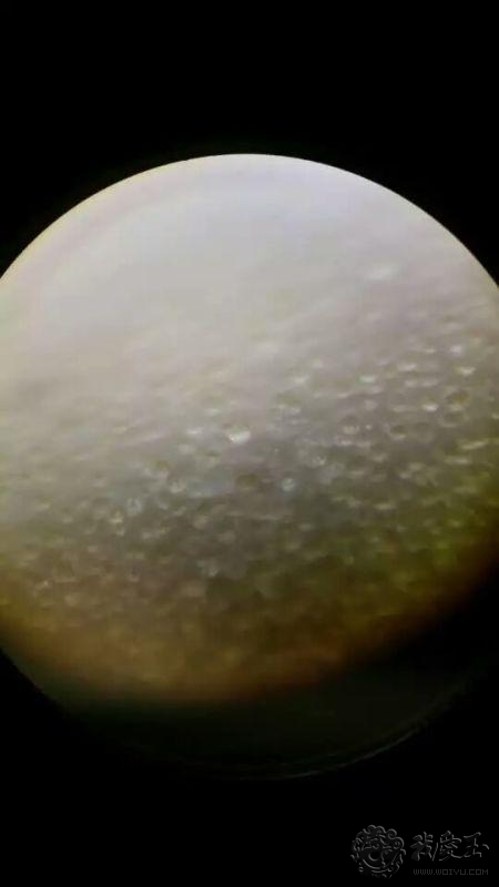 天然蜜蜡和水煮蜜蜡,水煮蜜蜡和烤蜜蜡