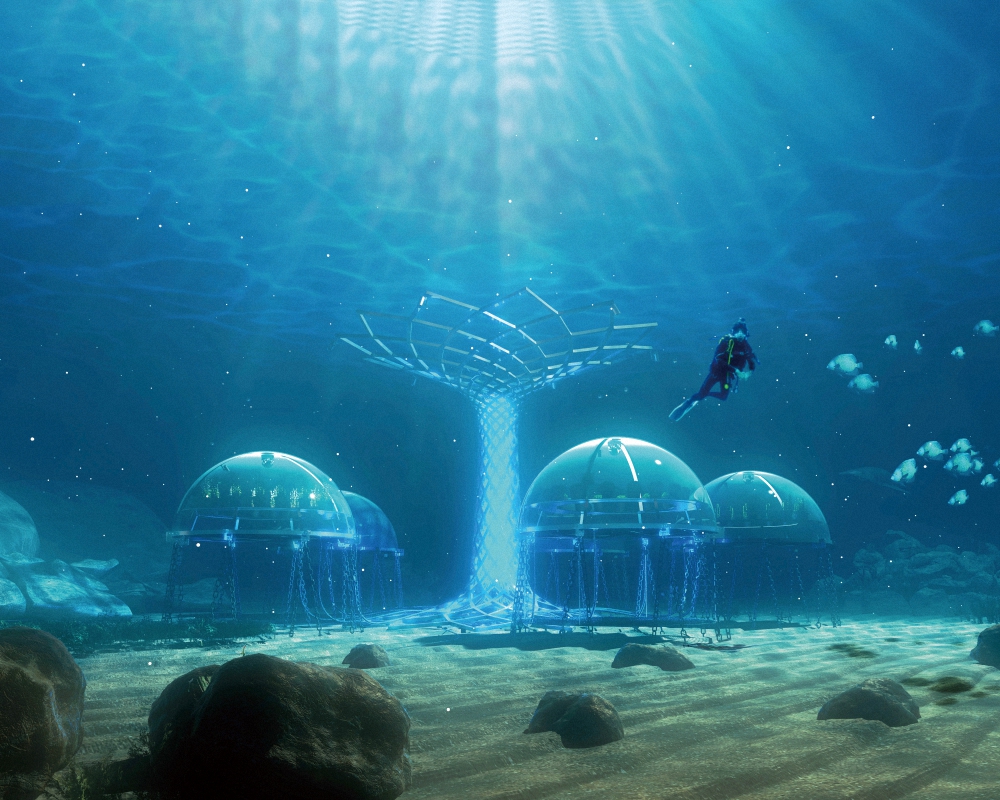 海底真的可以种菜啊！发展农业的空间扩展了有木有？