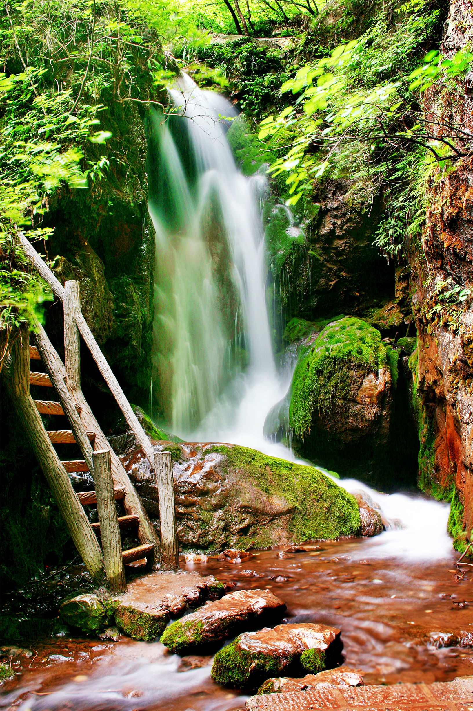 欢乐颂咖喱咖喱插曲,欢乐颂咖喱咖喱原视频