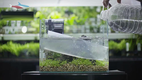 家庭草缸入门,家中草缸怎么设计