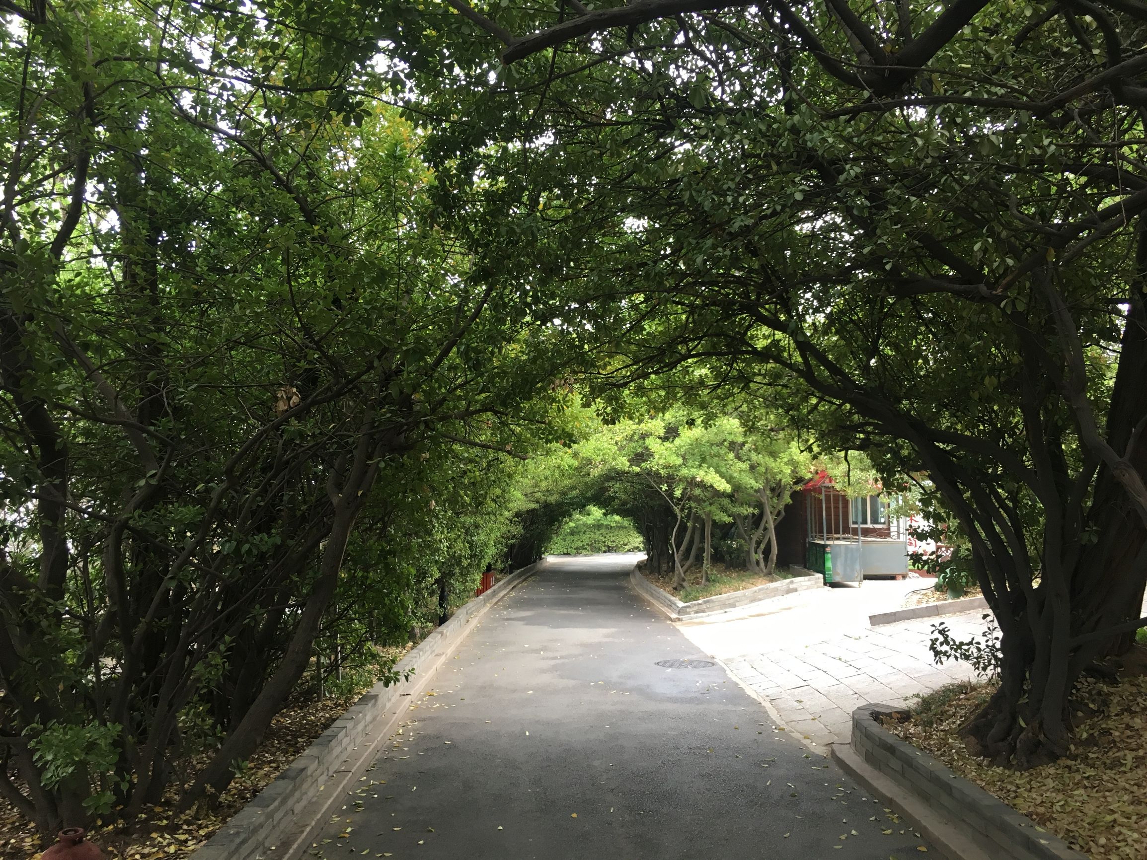 徒步旅行第75天，雨中漫步烟台山，滨海路，宿山东莱山烟台大学