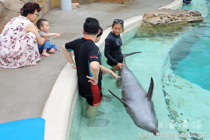 新加坡圣淘沙一日游路线图,新加坡圣淘沙游玩攻略费用