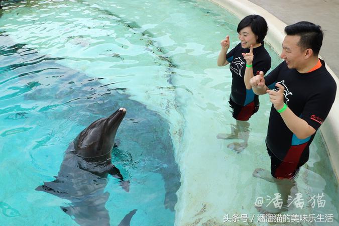 新加坡圣淘沙名胜世界小程序,新加坡圣淘沙必去的3个景点