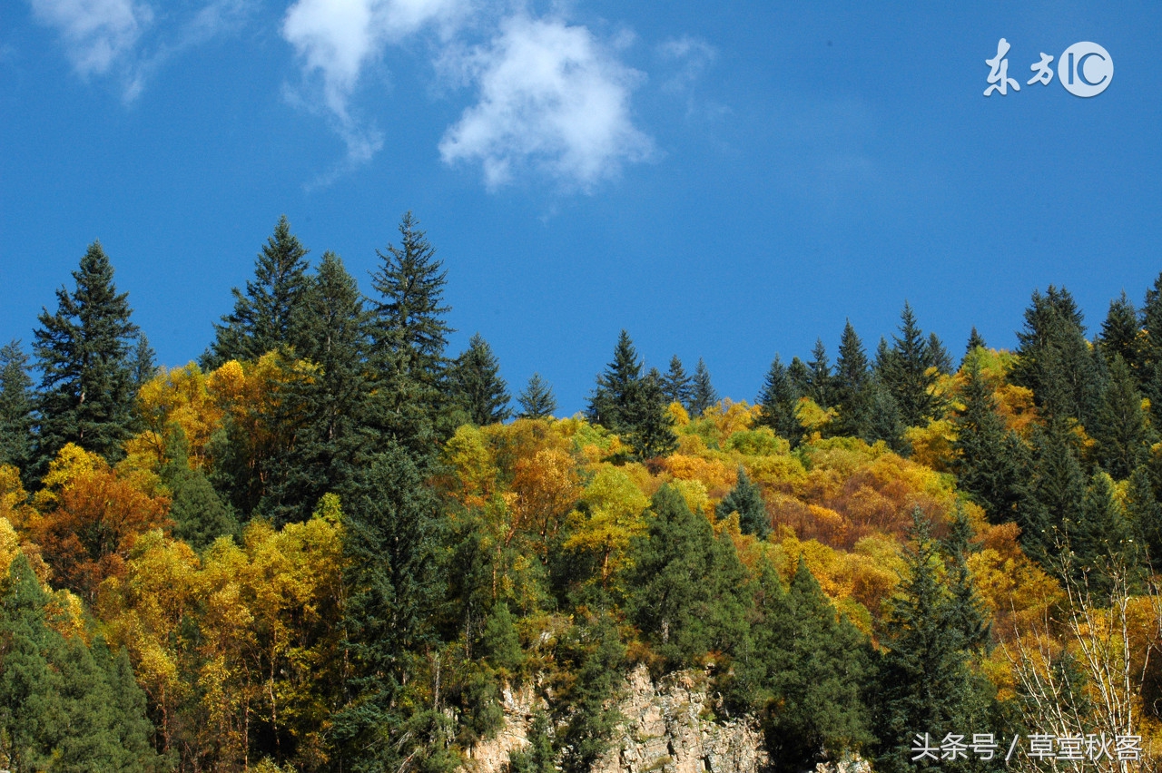 我心中的墨绿｜原创作文
