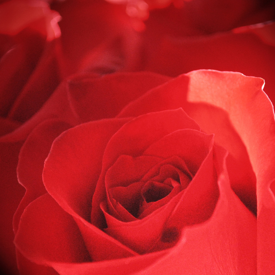 夏日清凉经典歌曲,100首夏日诗词助你清凉一夏