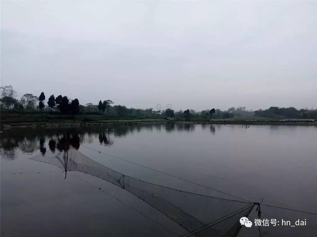 惠农最近新闻,惠农生活是干啥的