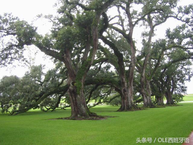 法国波尔多左岸酒庄介绍,法国波尔多右岸酒庄premiums