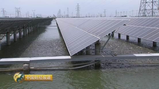 十亩水库养鱼一年收益,一亩鱼塘养鱼的收益