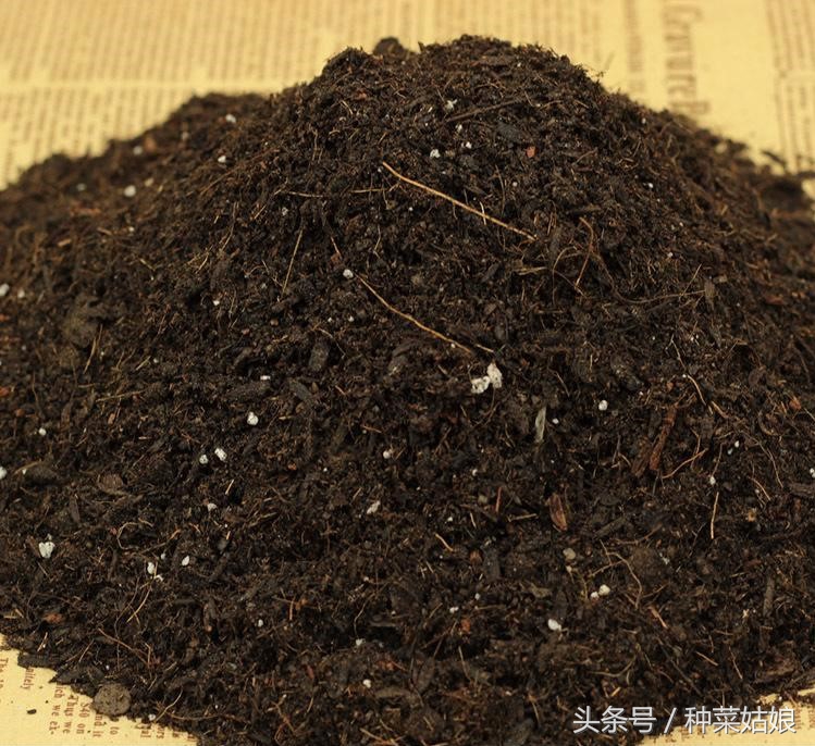 家里种菜土板结如何解决,家庭种菜土硬怎么办