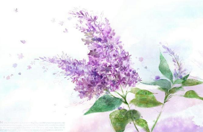 输卵管粘连了，还能自然好孕吗？