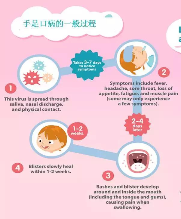 手足口的防治公开课,大人手足口治疗方法及护理