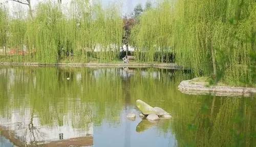 西源大道1号四川大学锦城学院,川大锦城学院西源