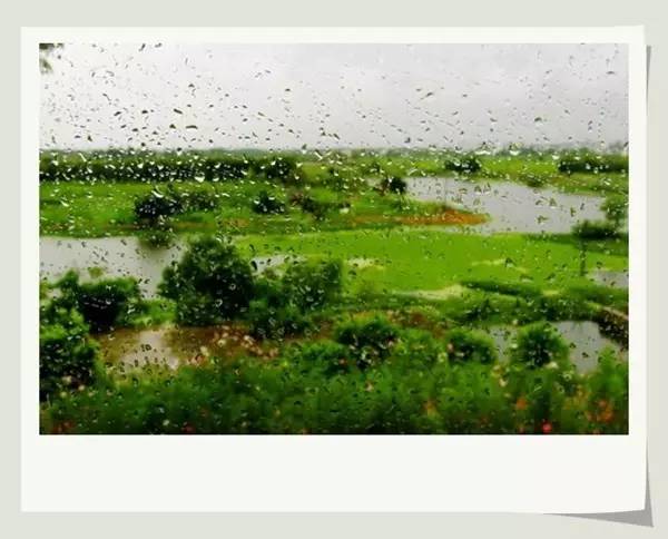 姆妈说，晒伏酱得三黄六水一斤盐，即三斤酱黄六斤水加上一斤盐的配比放入酱缸内搅拌。