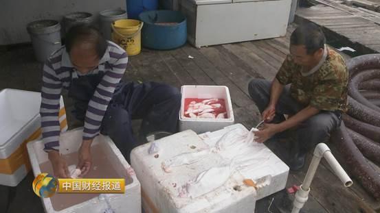 十亩水库养鱼一年收益,一亩鱼塘养鱼的收益