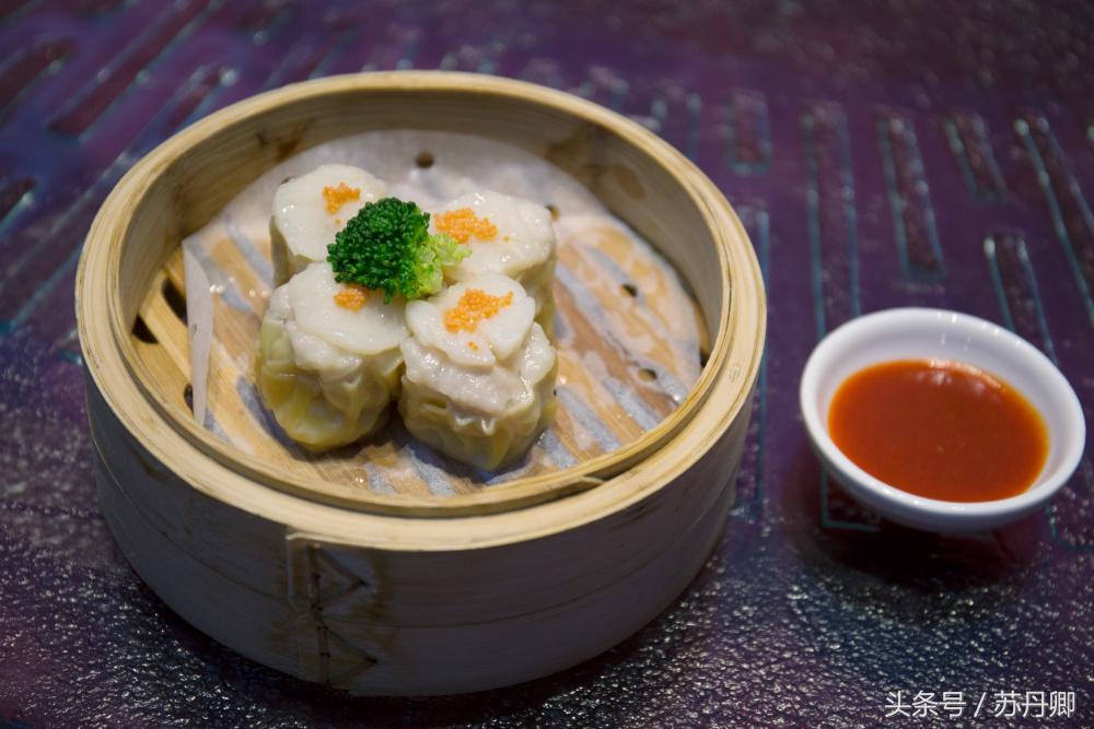 深圳世界之窗中途出去能再进吗,深圳世界之窗要准备什么