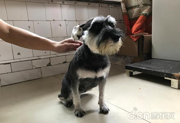 王者荣耀带练挣钱吗,王者荣耀带练接单工作室哪个靠谱