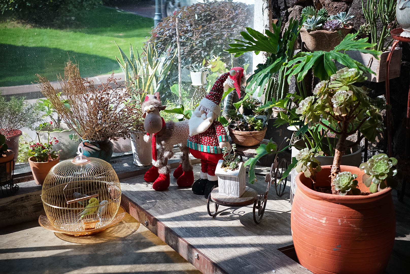 火爆Instagram的美食界艺术品，竟然在厦门……