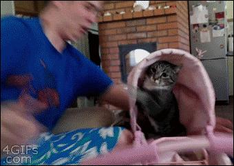 刚才你嫂子来电话说又堵了，你快去看看吧