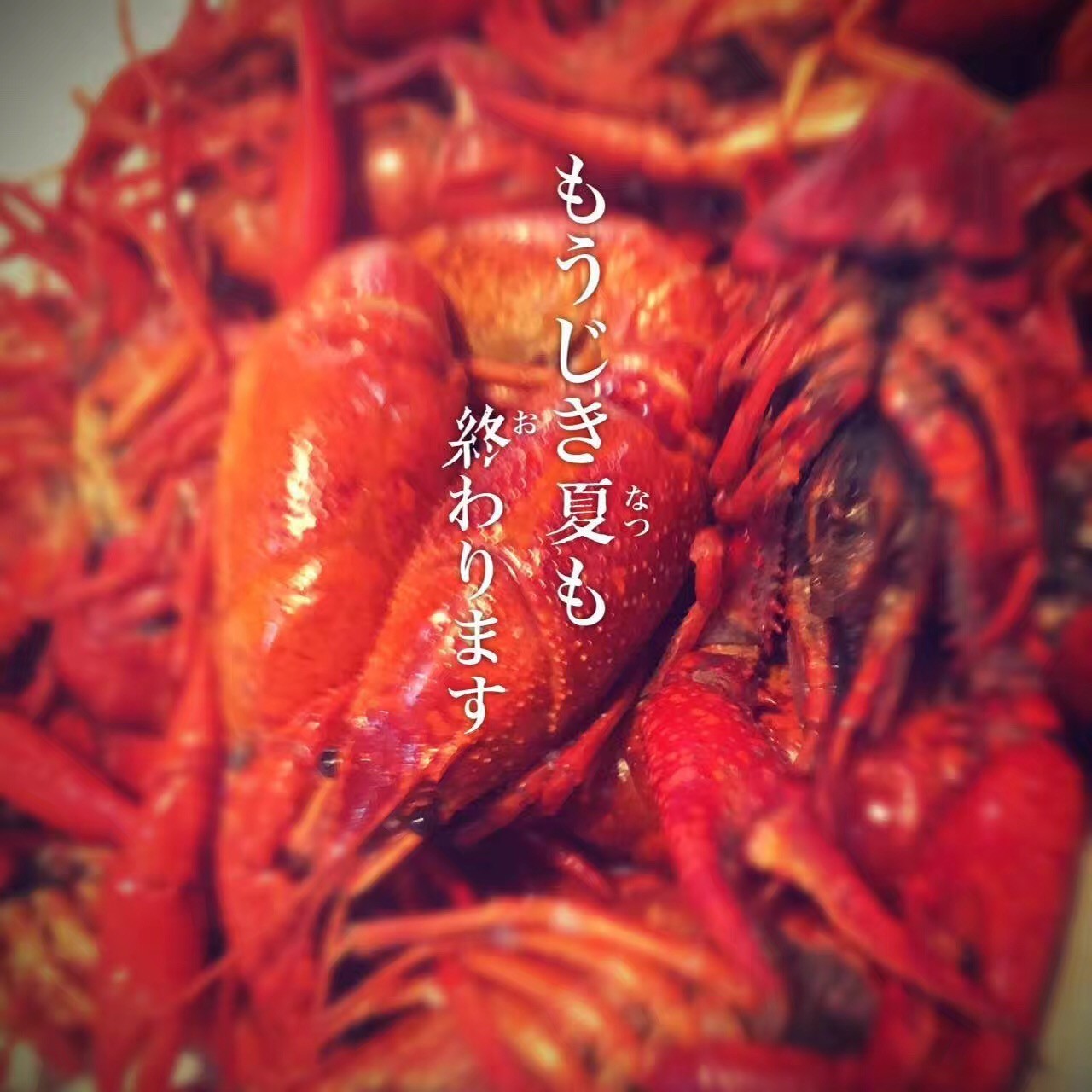 卖小龙虾一个月能赚多少,卖小龙虾怎么低成本