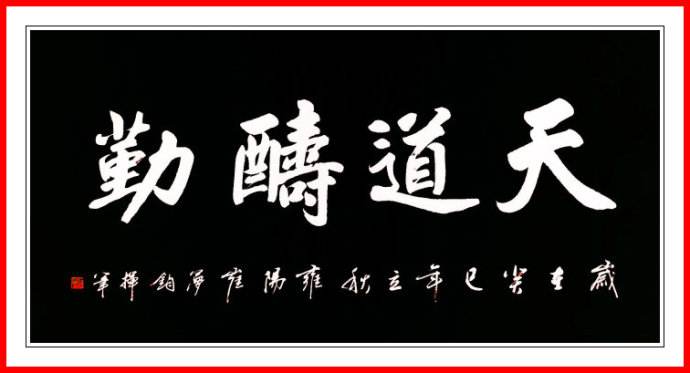 南充市世阳镇最新视频,南充世阳镇最新消息