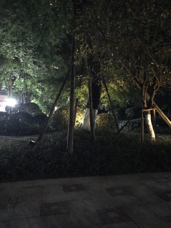 华为畅享7拍照像素,华为畅享7plus专业拍照