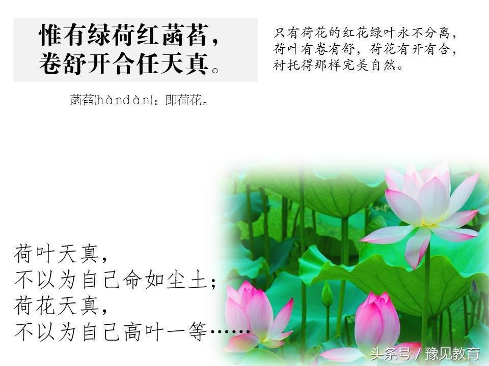 鍗楁槑鏁欒偛闆嗗洟椹幉,鍗楁槑鏁欒偛椹幉鑰佸笀