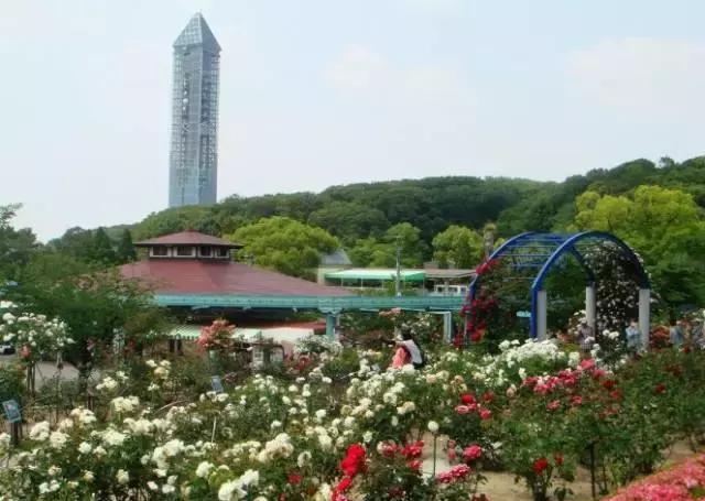 名古屋鳗鱼三吃优惠,名古屋刺身攻略