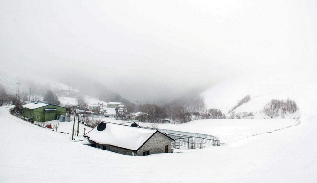 阎王嫌他的口哨过于吵闹，就把他赶回人间来了