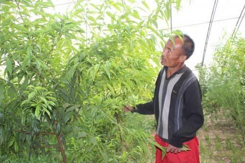 致富带头人励志故事,十大青年创业致富带头人