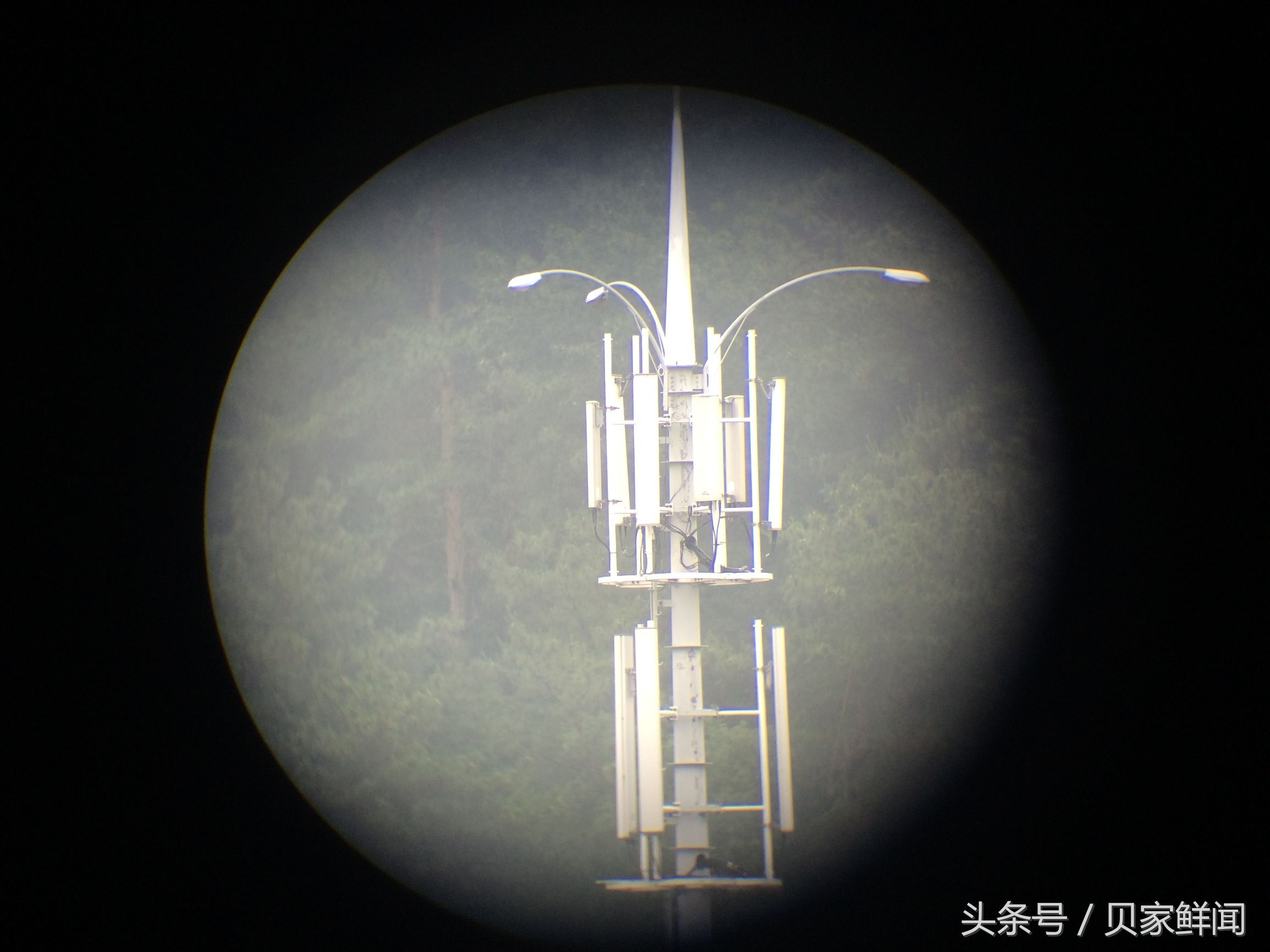 民用最大倍率望远镜,最小高倍望远镜