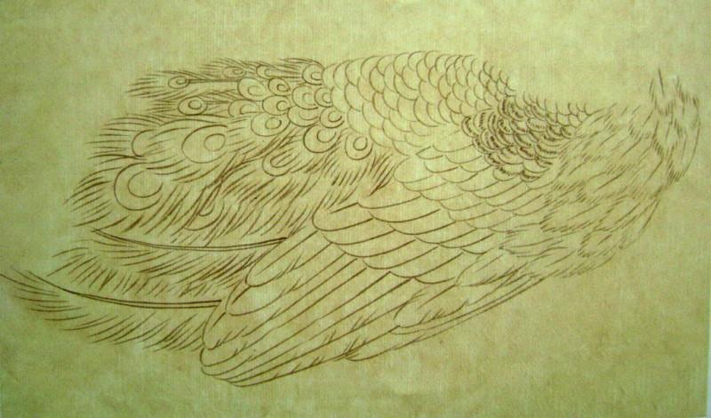 孔雀开屏的图片国画孔雀的画法,国画孔雀的画法图片