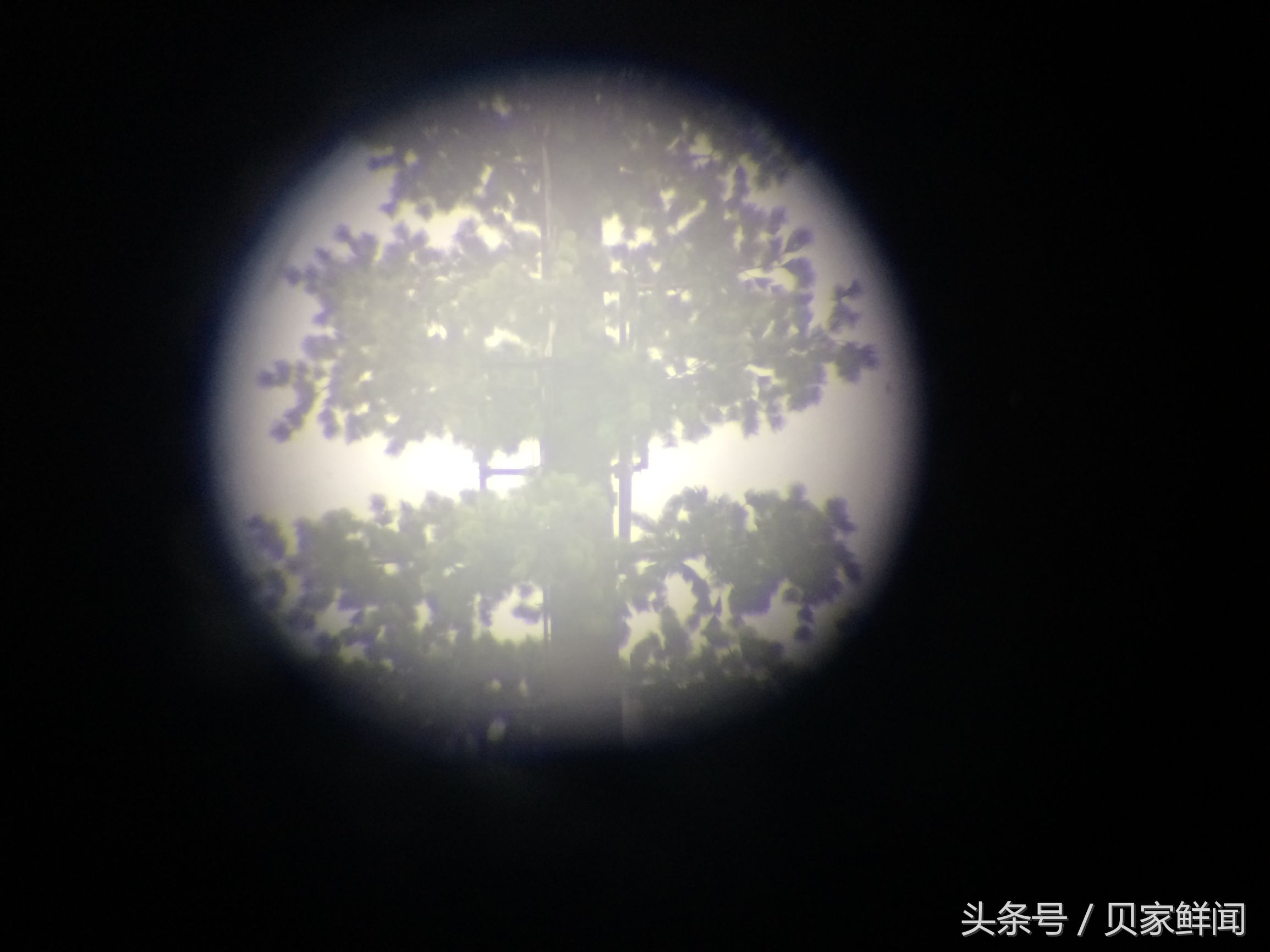 最高倍的望远镜能看多远,最高倍的天文望远镜