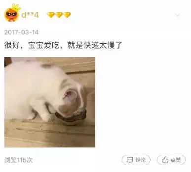 从让人捧腹的铝盆和鸡窝大抢购,看猫咪用品创业商机