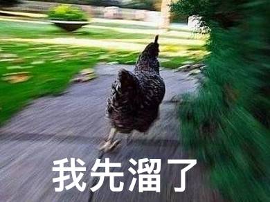 小黑瓶与小棕瓶买哪个,当心你买到的可能是一款假净水壶