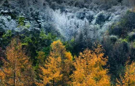 西安最有名旅游景点排名,西安十大值得去的景点排名
