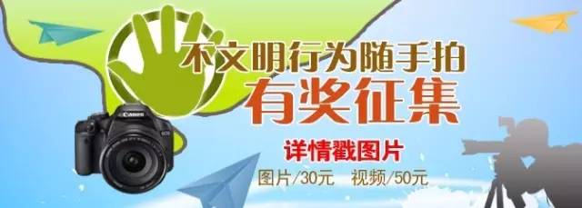 lvdiorguccichanel哪个好,lvdiorguccichanel