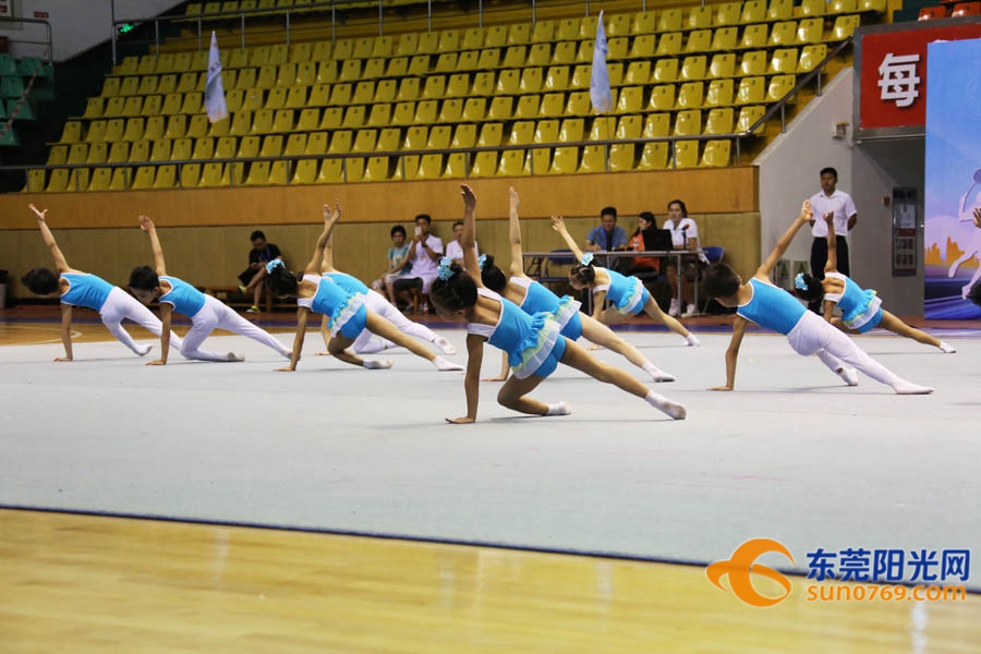 第九届东莞市市运会,2022东莞市体操锦标赛