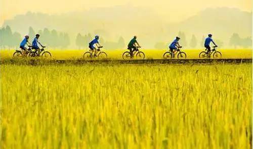 古代女生要的技能,古代美人纸