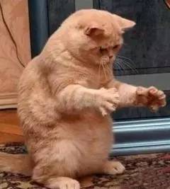 大西安有多大？也不大，也就96个巴黎而已~