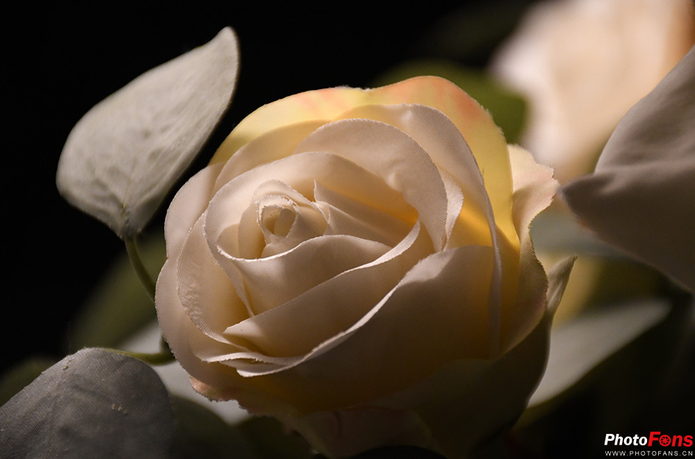 尼康d7500实拍测评,尼康d7500配50-1.8镜头拍什么最好