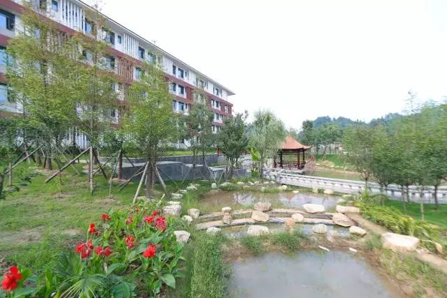 宜昌一中实景,航拍宜昌一中新校区